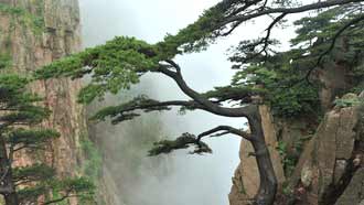 ���� �� ���� �������,  ����� ������ , ����