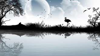 ���� �� ���� �������, ��������� ����, ����