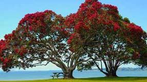 ���� �� ���� �������, ����, ������� � �����, ����