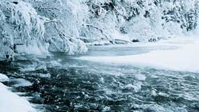 ���� �� ���� �������, ������ ����, ����, ������� � �����